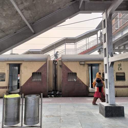 Photo #10408918