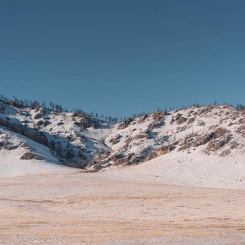 Photo #10408940
