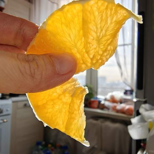 Photo #10408979