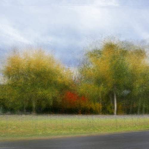 Photo #10409005