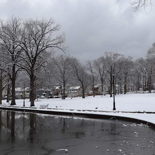 Photo #10409026