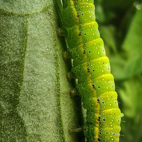 Photo #10409303