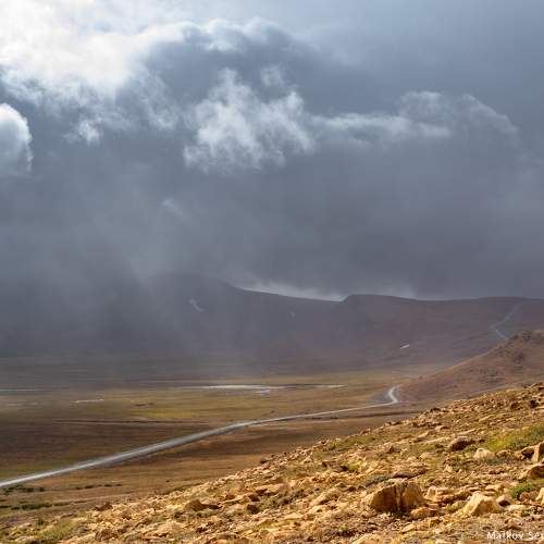 Photo #10409370