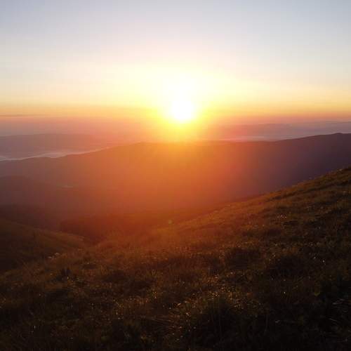 Photo #10409394