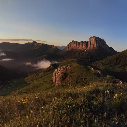 Photo #10409408