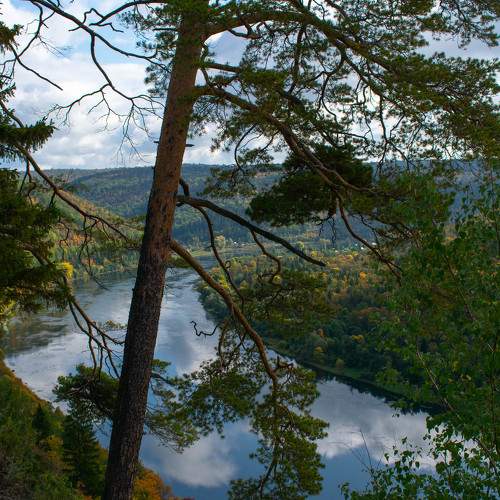 Photo #10409979