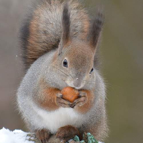 Photo #10410133