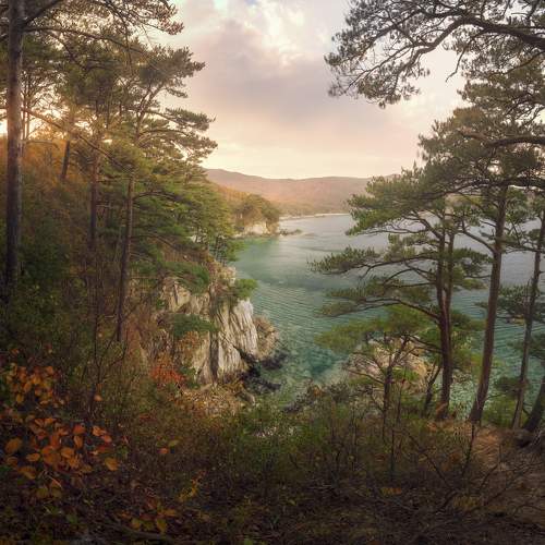 Дыхание осени