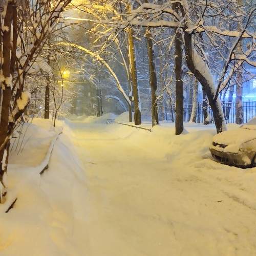 Photo #10410306