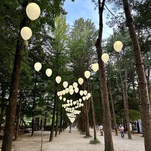 Photo #10410808