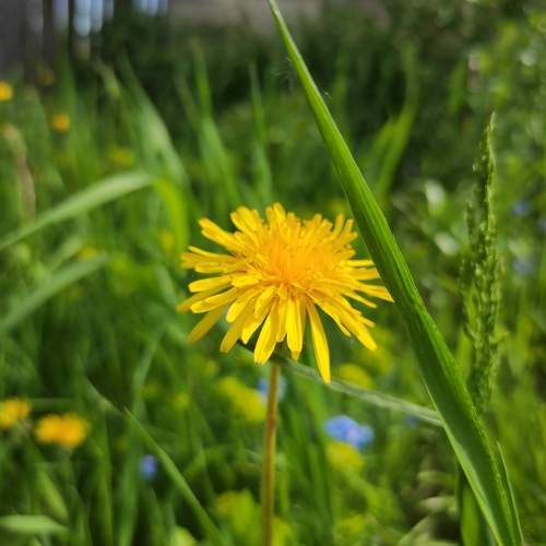 Photo #10410856