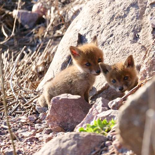 Photo #10411052