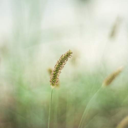Photo #10411129