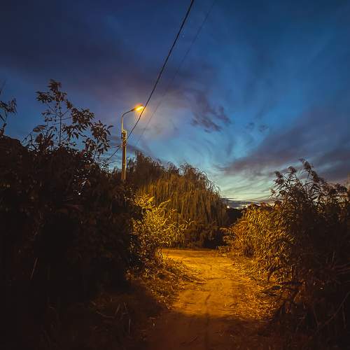 Photo #10411286