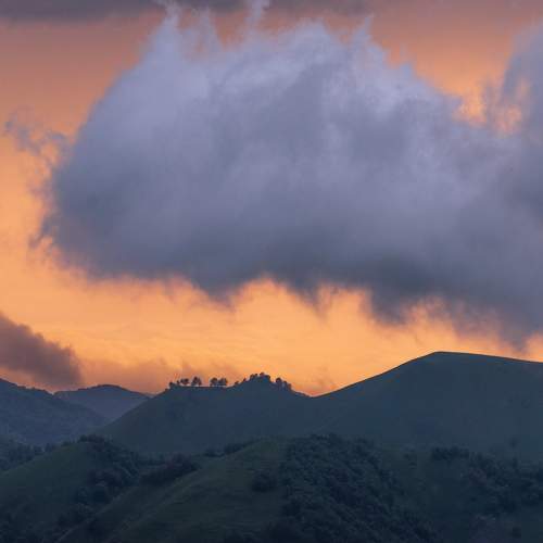 Photo #10411533