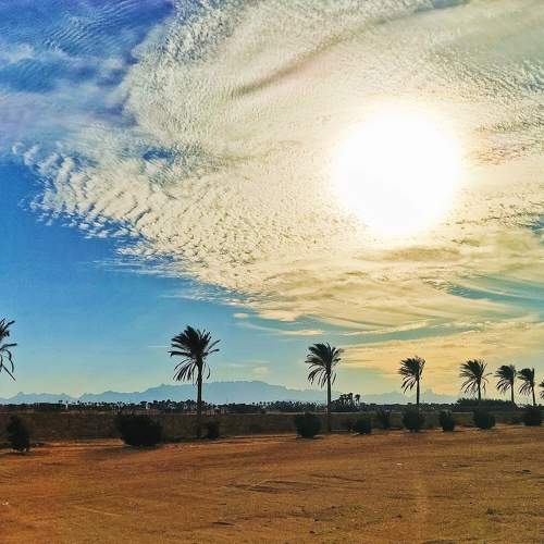 Photo #10411655