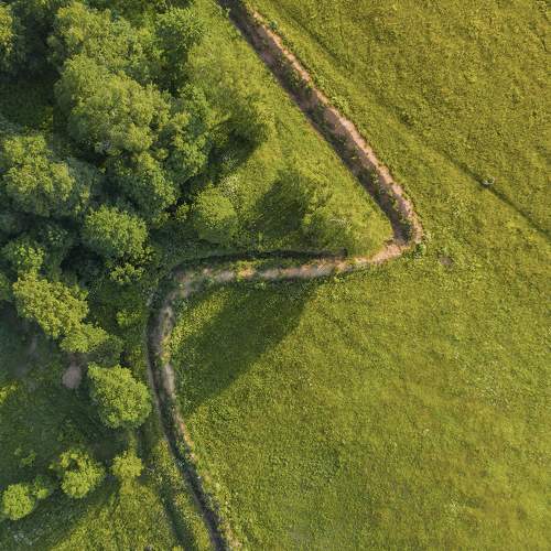 Photo #10411756