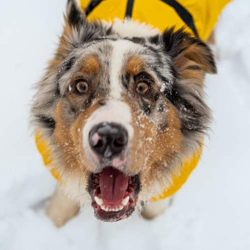 Photo #10412039
