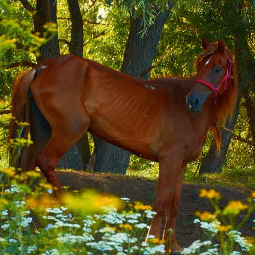 Photo #10412266