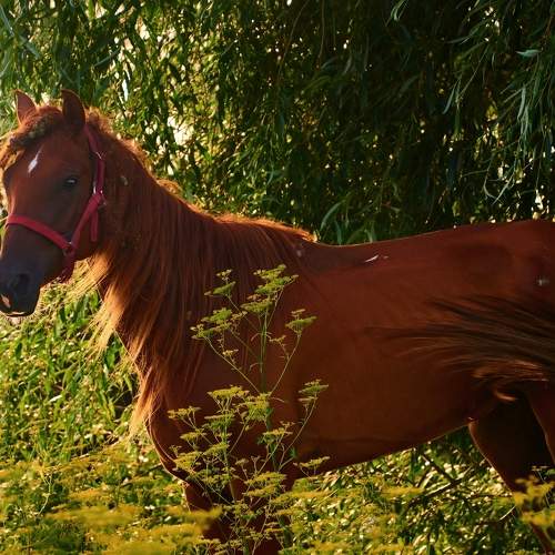 Photo #10412287
