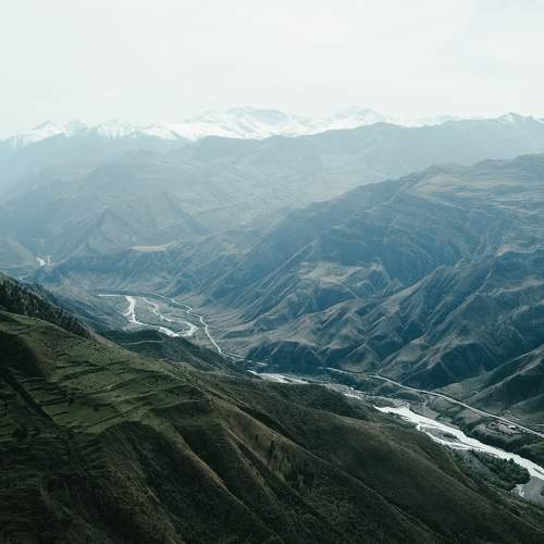 Photo #10412518
