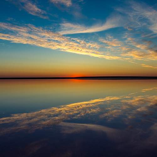 Photo #10412533