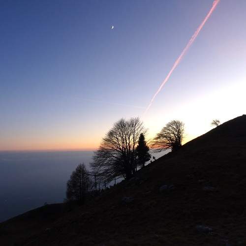 Photo #10412943