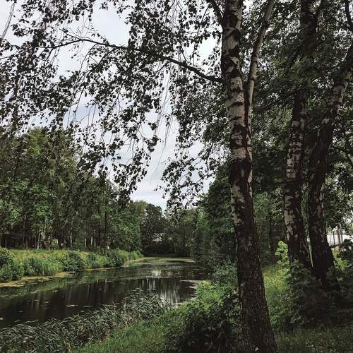 Photo #10413122