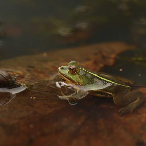 Photo #10413686
