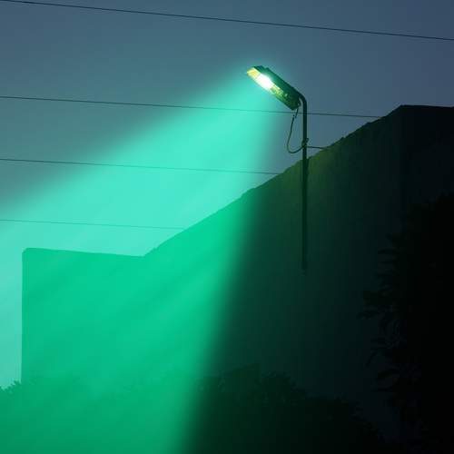 Photo #10413690