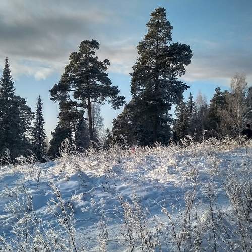 Photo #10413757
