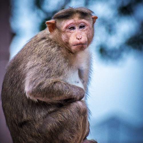Photo #10413758