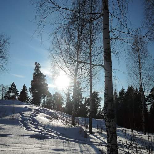 Photo #10413766