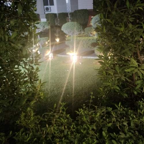 Photo #10413909