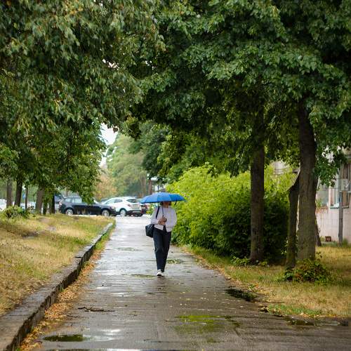 Photo #10414179