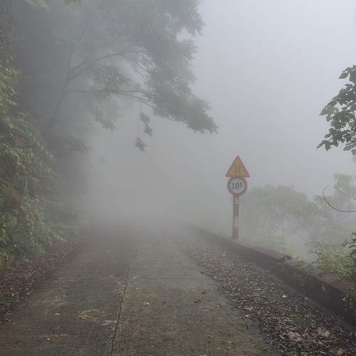 Photo #10414489