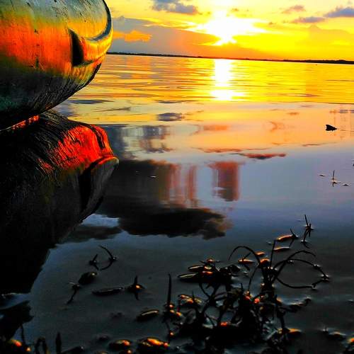 Photo #10414592