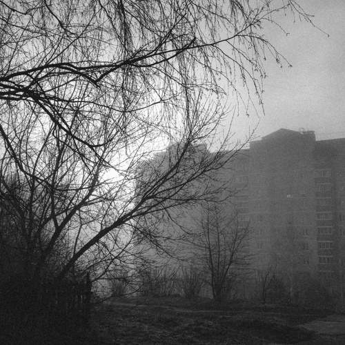 Photo #10414850
