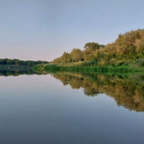 Photo #10414901