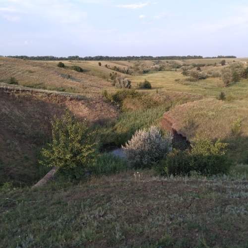 Photo #10414905