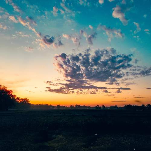 Photo #10415079