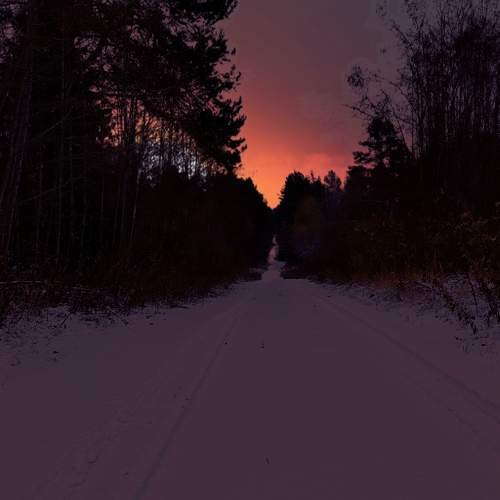 Photo #10415151