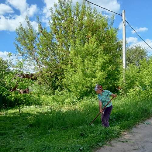 Photo #10415175