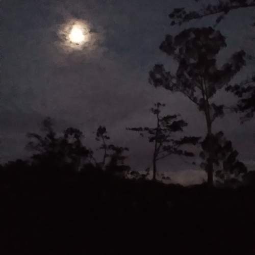 Photo #10415220