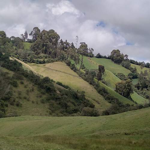 Photo #10415445