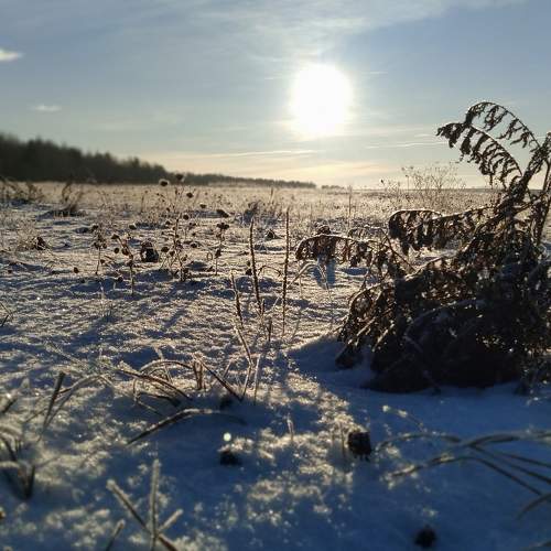 Photo #10415451