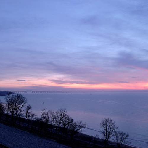 Photo #10415654