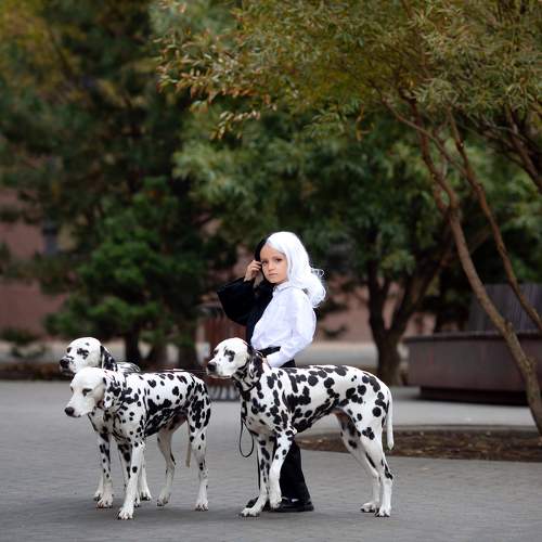 Photo #10415663