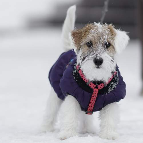 Photo #10415767