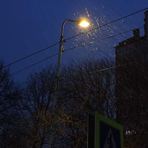 Photo #10415792